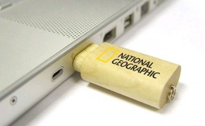 Carbon Neutral Flash Drives