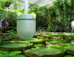 Loop - Water Saving Gadget