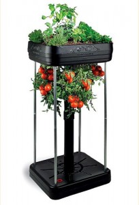 Upside Down Tomato Garden Eco Gadget