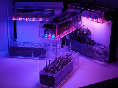 LabBox Grower - Smallest Fully Contained Hydroponic Grow Box