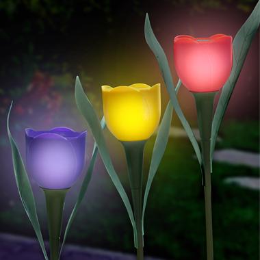 Solar Powered Tulips