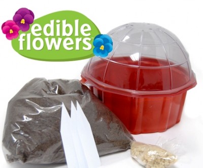 Edible Flowers