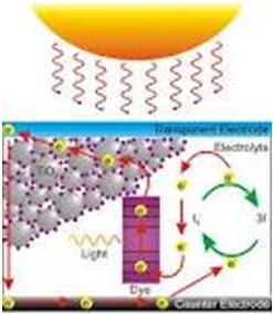 Dye-Sensitized Solar Cell