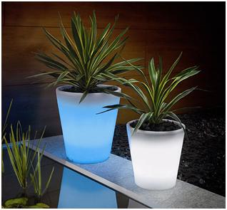 Solar Powered Plant Pot Keeps The Gardening Interesting